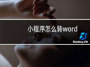小程序怎么转word