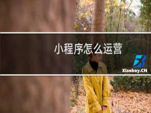 小程序怎么运营