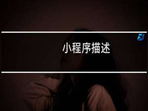 小程序描述