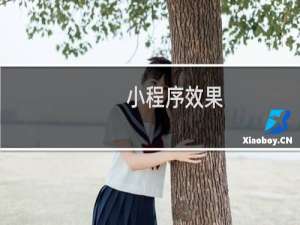 小程序效果