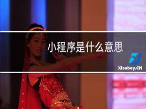 小程序是什么意思