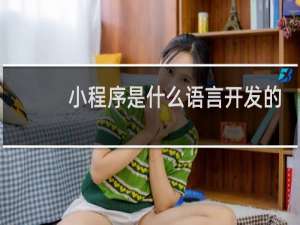 小程序是什么语言开发的
