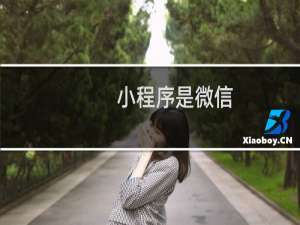 小程序是微信