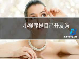 小程序是自己开发吗