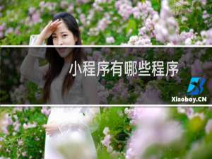小程序有哪些程序