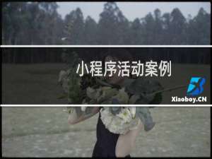 小程序活动案例