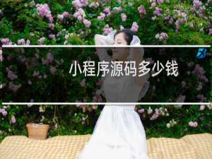 小程序源码多少钱