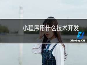 小程序用什么技术开发