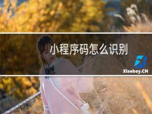 小程序码怎么识别