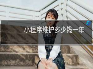 小程序维护多少钱一年