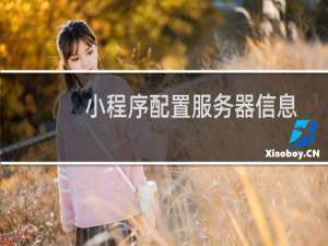 小程序配置服务器信息