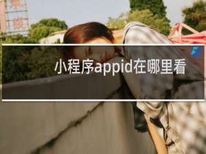 小程序appid在哪里看
