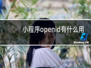 小程序openid有什么用