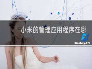小米的管理应用程序在哪