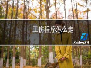 工伤程序怎么走
