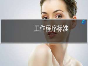 工作程序标准