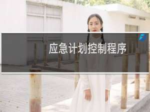 应急计划控制程序