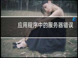 应用程序中的服务器错误