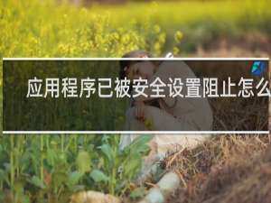 应用程序已被安全设置阻止怎么办