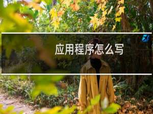 应用程序怎么写