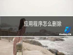 应用程序怎么删除