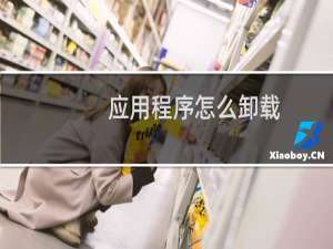 应用程序怎么卸载