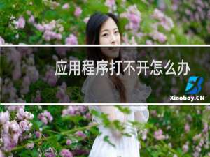 应用程序打不开怎么办