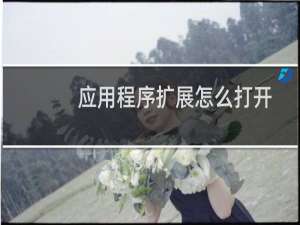 应用程序扩展怎么打开