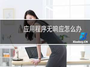 应用程序无响应怎么办