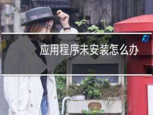应用程序未安装怎么办