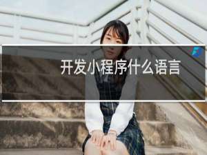 开发小程序什么语言