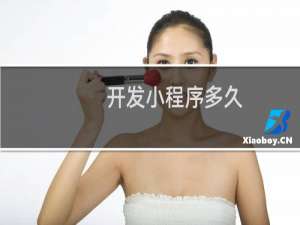 开发小程序多久