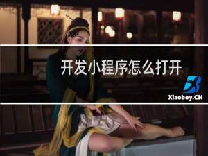 开发小程序怎么打开