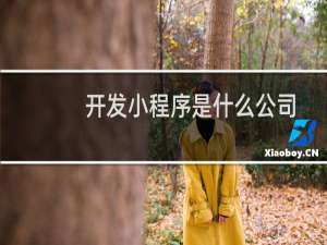 开发小程序是什么公司