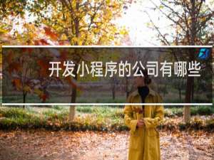 开发小程序的公司有哪些