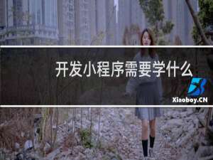 开发小程序需要学什么