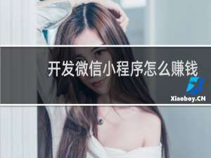 开发微信小程序怎么赚钱