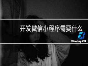 开发微信小程序需要什么