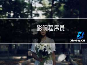 影响程序员