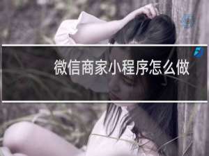 微信商家小程序怎么做