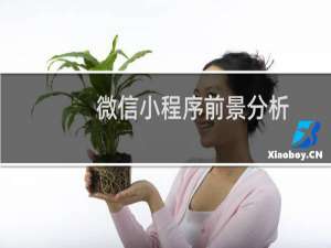 微信小程序前景分析