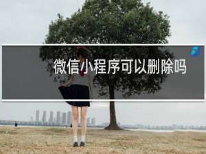 微信小程序可以删除吗