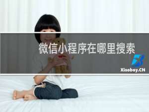 微信小程序在哪里搜索