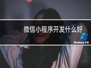 微信小程序开发什么好