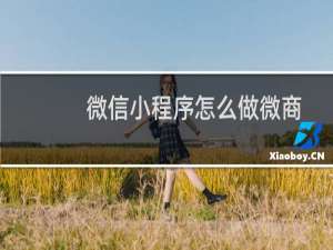 微信小程序怎么做微商
