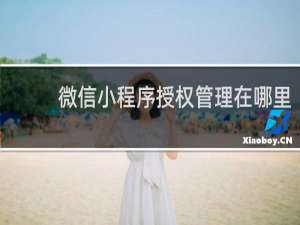 微信小程序授权管理在哪里