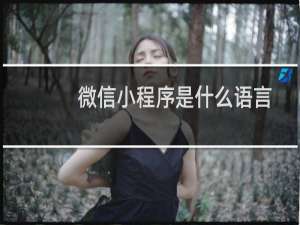 微信小程序是什么语言