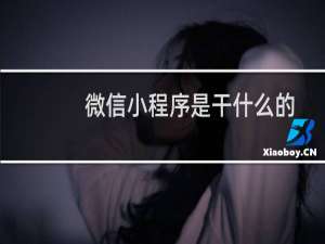 微信小程序是干什么的