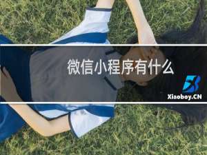 微信小程序有什么