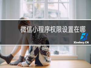 微信小程序权限设置在哪